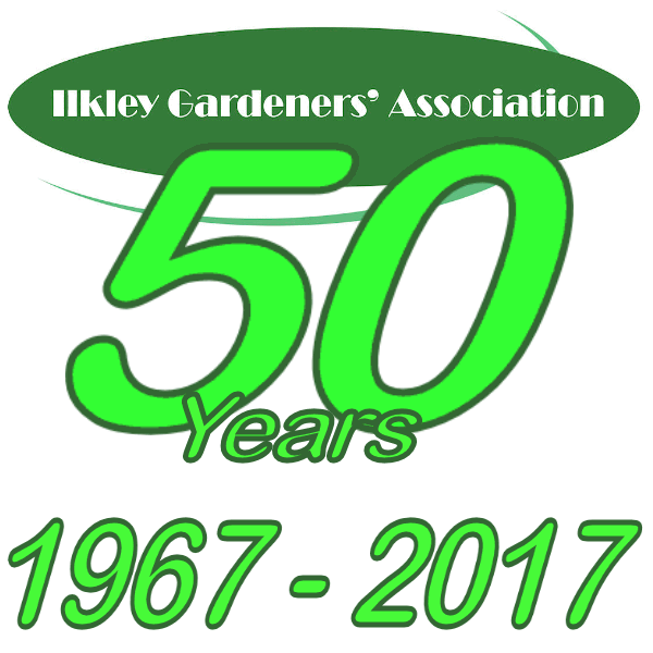 IGA 50 Year Logo